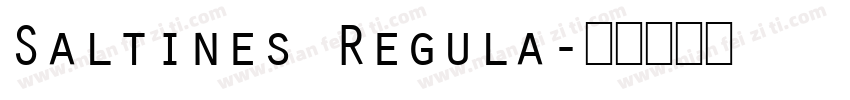 Saltines Regula字体转换